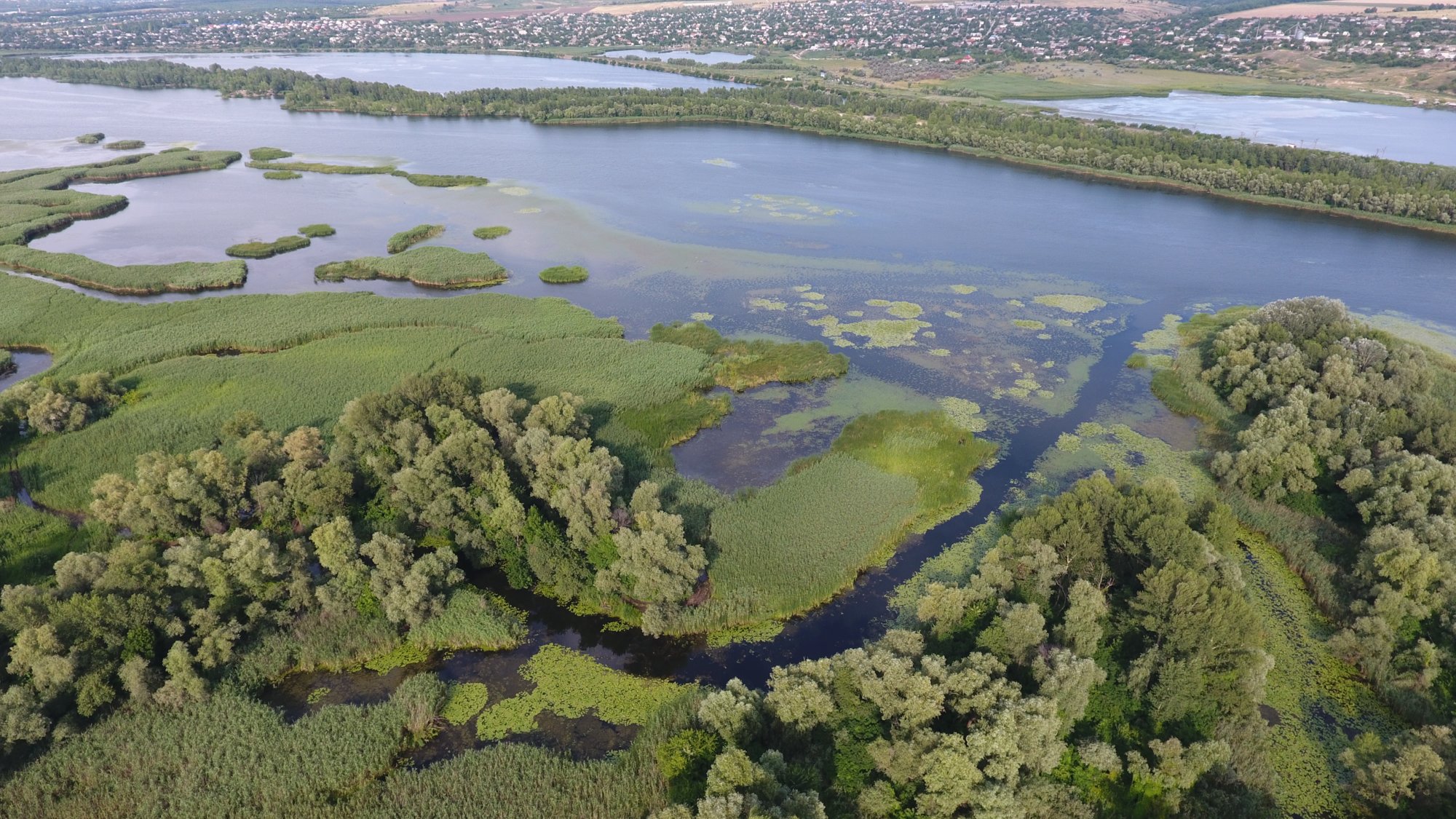 Фото дня: Хортицькі плавні-зона абсолютної заповідності