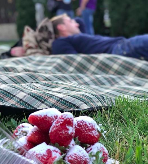 Запоріжців запрошують на показ фільму з полуницею