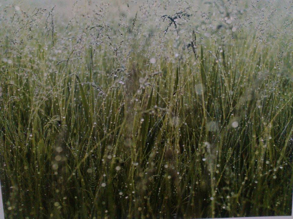 У Запоріжжі на острові Хортиця проведуть фестиваль фотографії