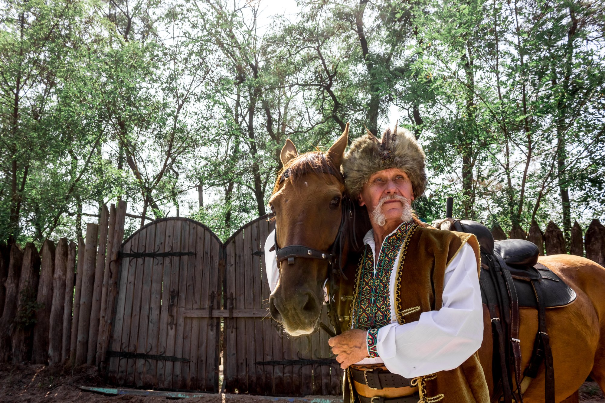 У Запоріжжі відбудеться колоритне свято біля 700 літнього Запорізького дубу