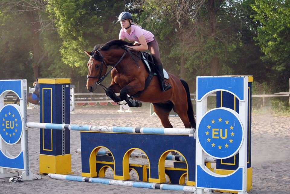 У Запоріжжі проходить Чемпіонат з кінного спорту