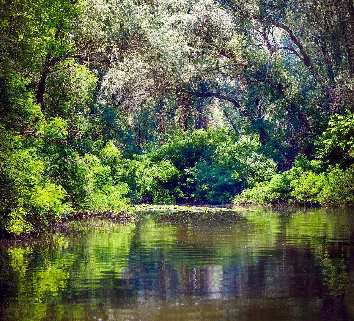 Фото дня: Плавні в заповіднику Запоріжжя