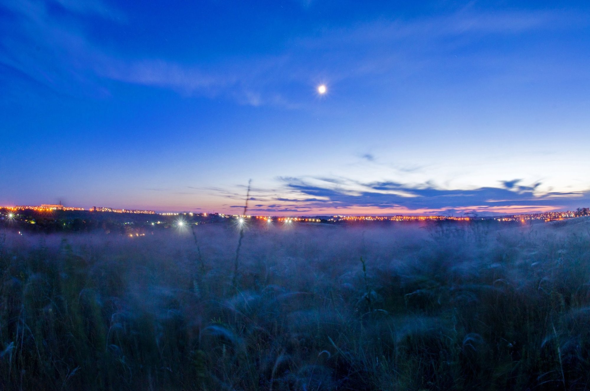 Фото дня: ковила на острові у Запоріжжі