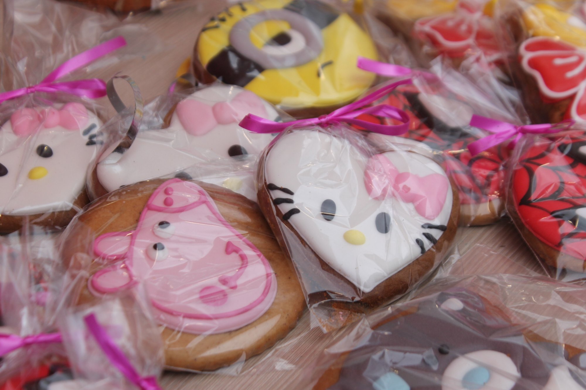 Фото: На запорізькій Райдузі пройшов фестиваль вуличної їжі