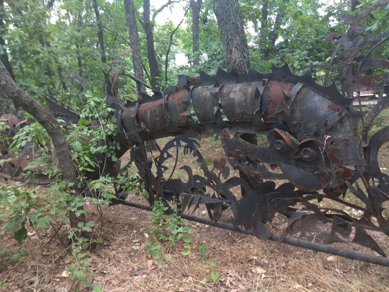 Фото: унікальний кований паркан на запорізькому острові