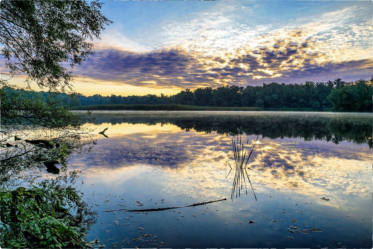 Фото: мальовничі запорізькі плавні