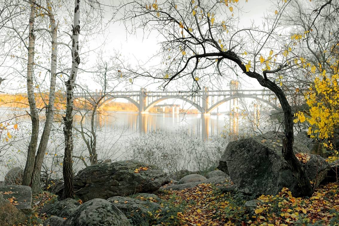 Фото: запорізький фотограф показав унікальний знімок початку листопада у Запоріжжі
