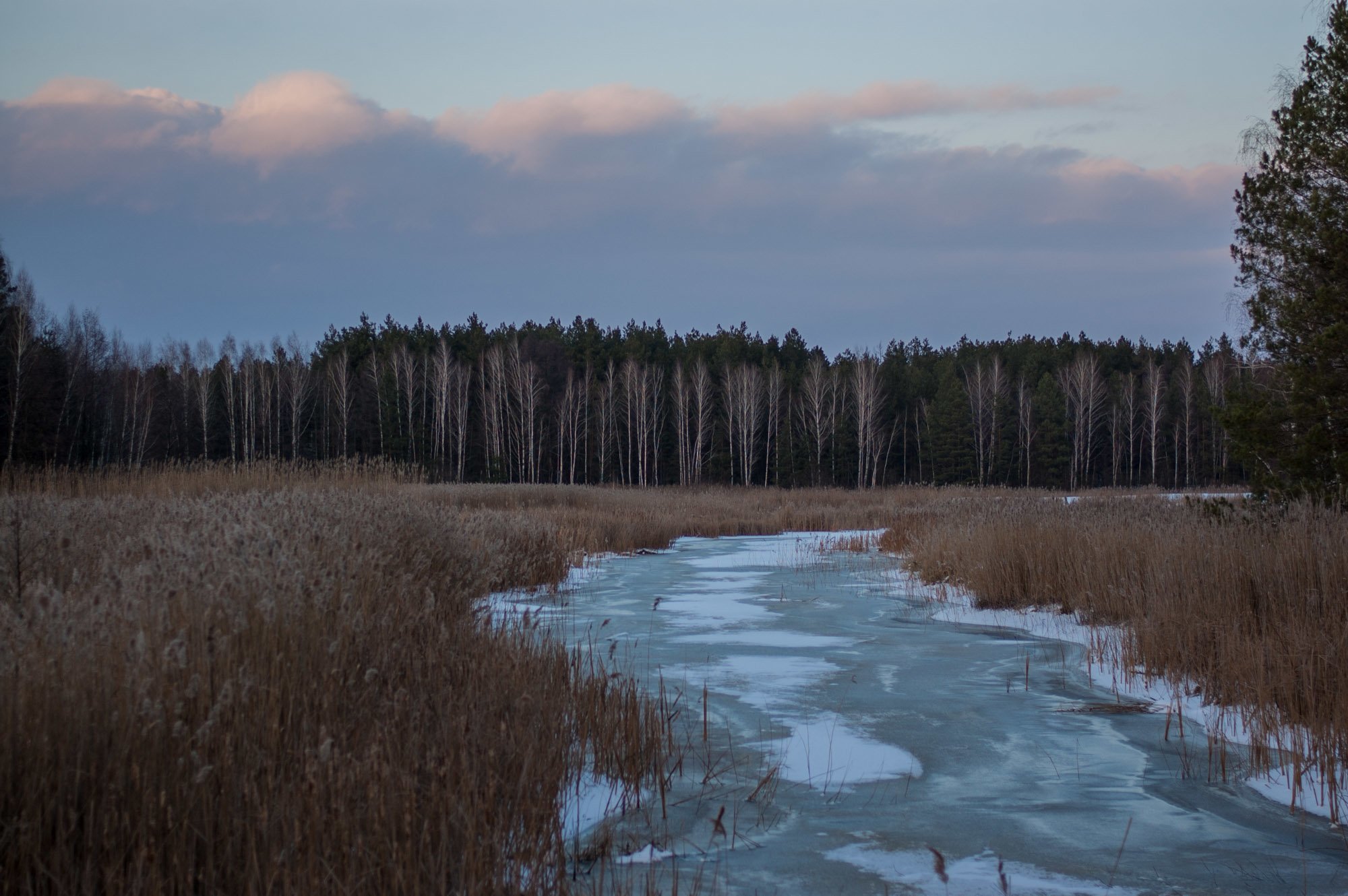 Заповідник на Київському морі: зцілення природою