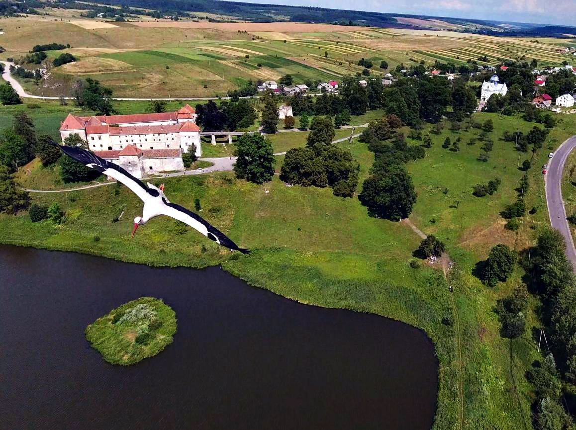 Багатства Дубенського замку