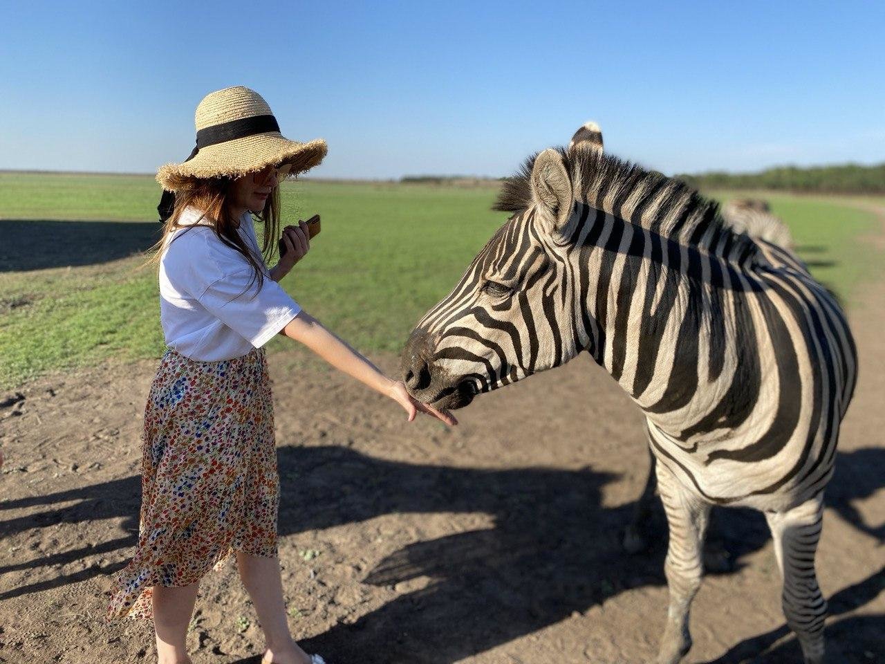 Маршрут Херсонщиною: вина Шато, рожеве озеро, пустеля, сафарі, ракети і частинка Парижа