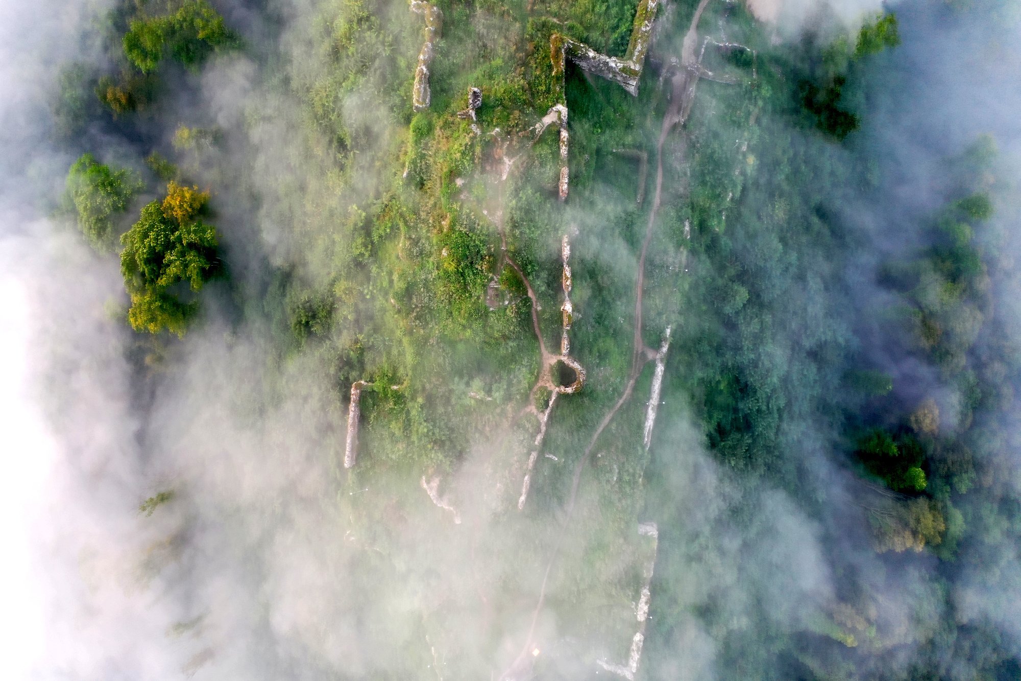 ТОП 11 пригод на Закарпатті: виноробство, буйволи та інопланетяни