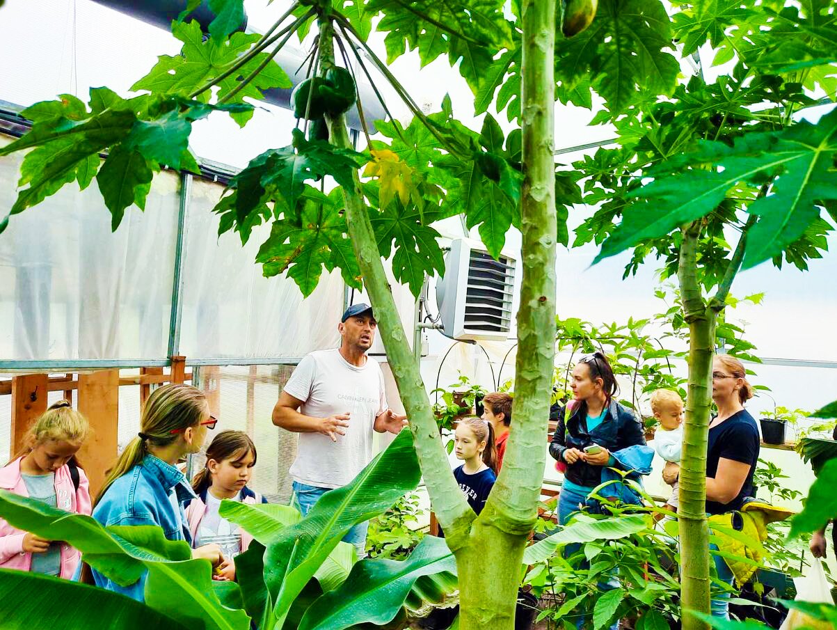 Вирощено в Україні: ТОП-5 найекзотичніших ферм та плантацій