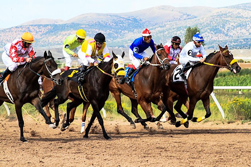 10 практичних порад для виграшу на live-ставках