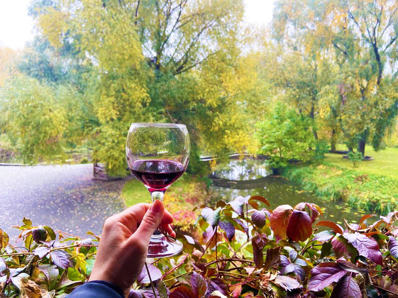 Свій до свого по своє: «Королівський шлях українського вина в «Замку Радомисль»