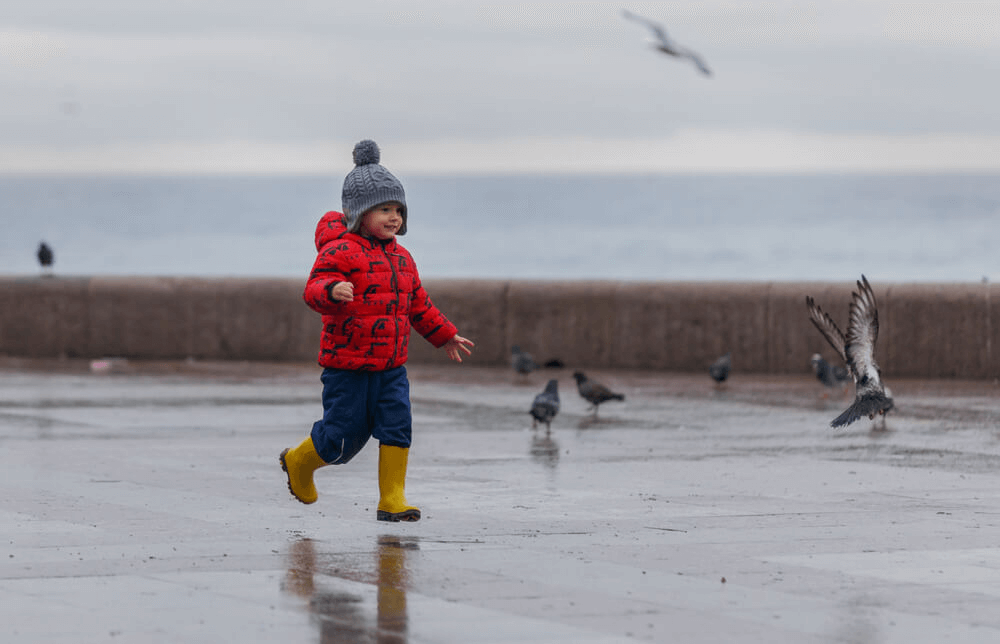 Без заголовка