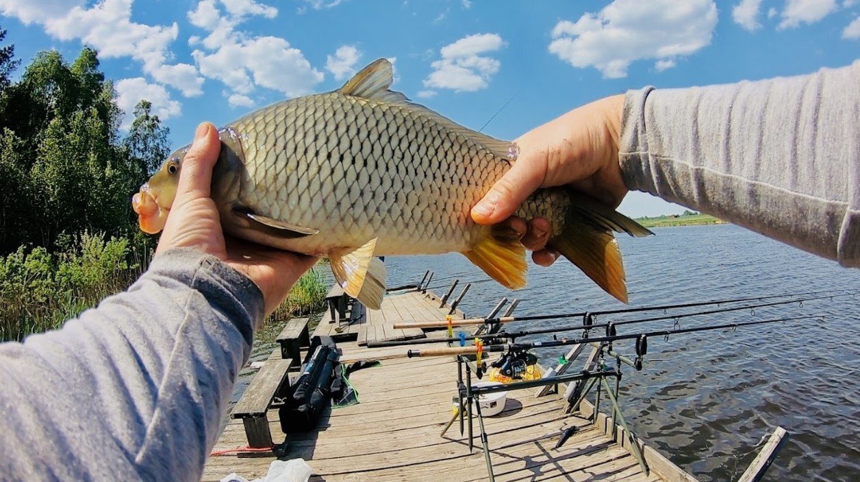 Куди поїхати на риболовлю: найкращі місця для трофейного улову