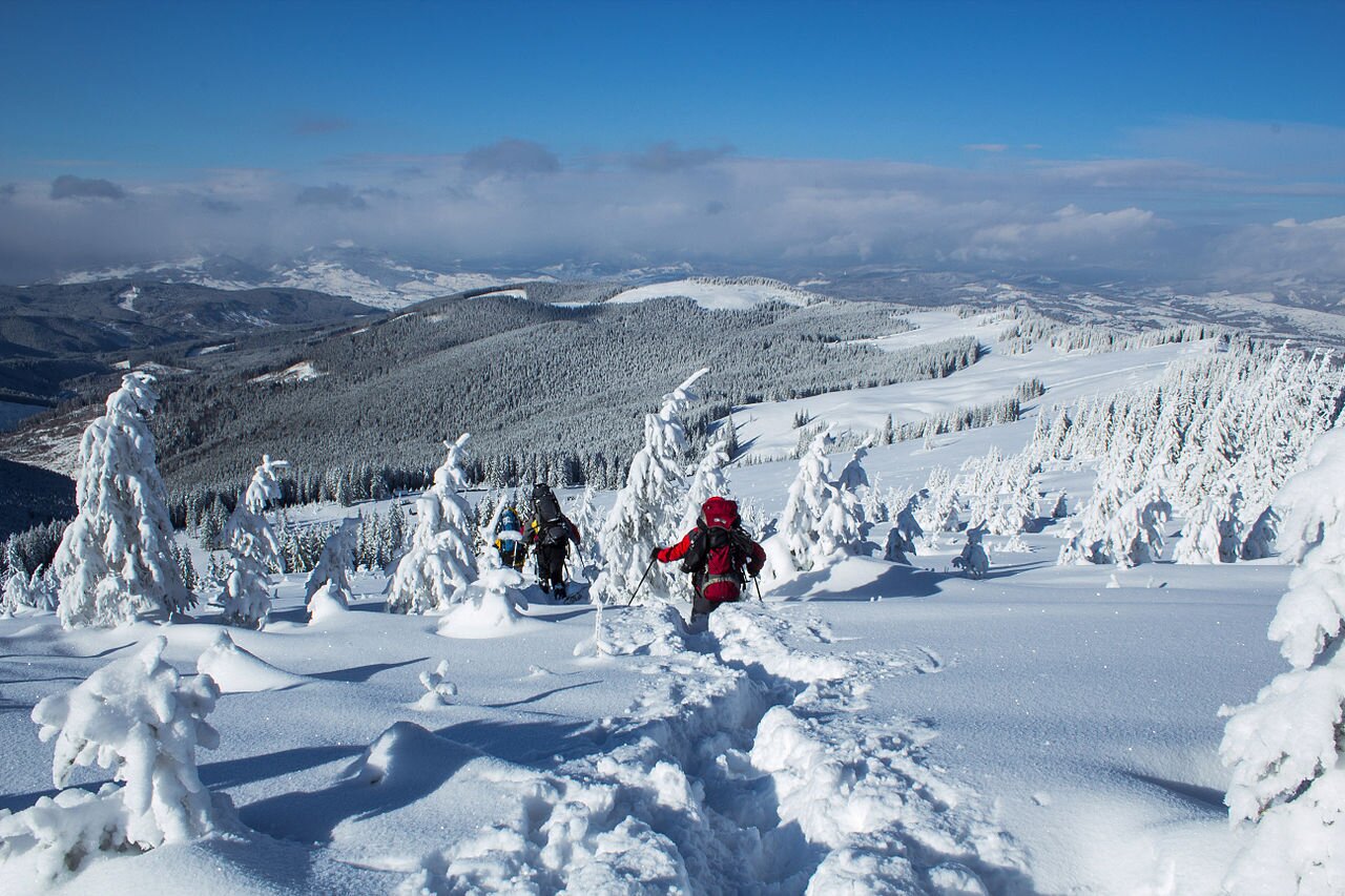 ТОП-5 місць для зимового трекінгу в Карпатах