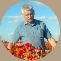 Mykola Hubnytsky