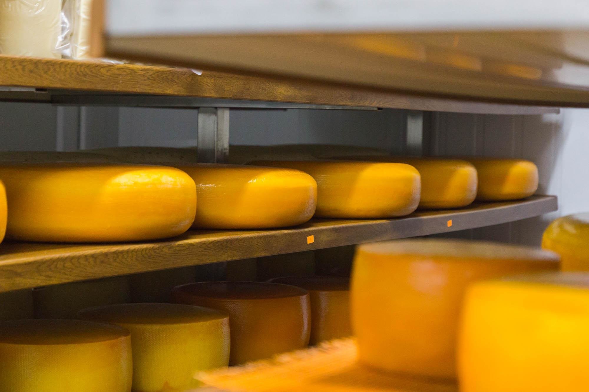 Сироварня «O`BEREG»