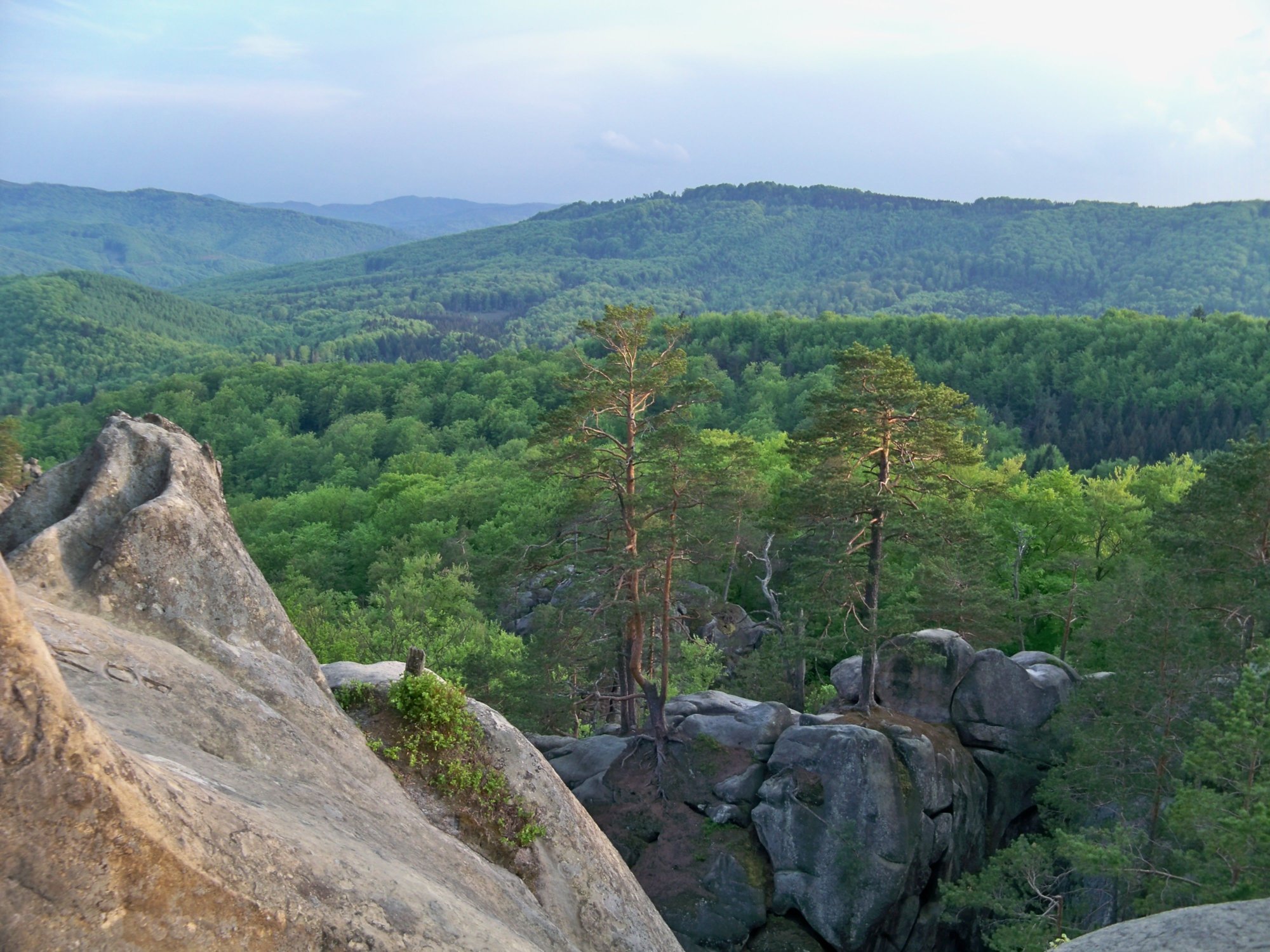 Поляницький регіональний ландшафтний парк