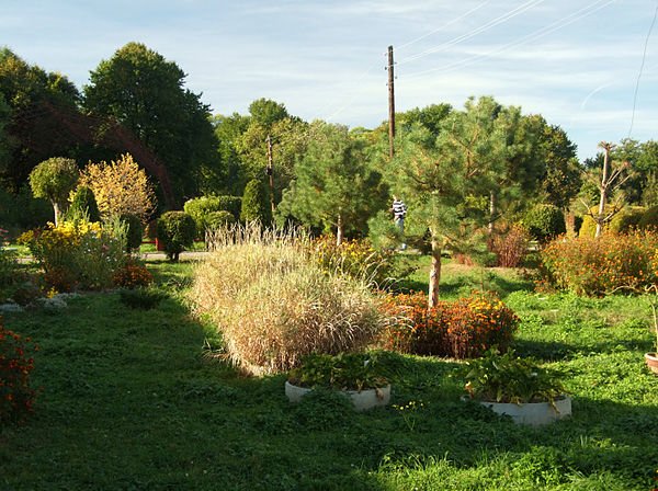 Парк-пам’ятка садово-паркового мистецтва "Арборетум"