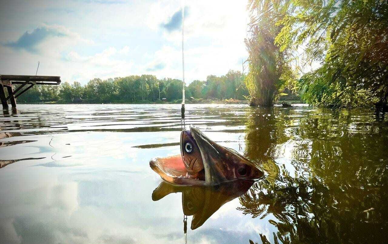 Vidpochinok Fishing club