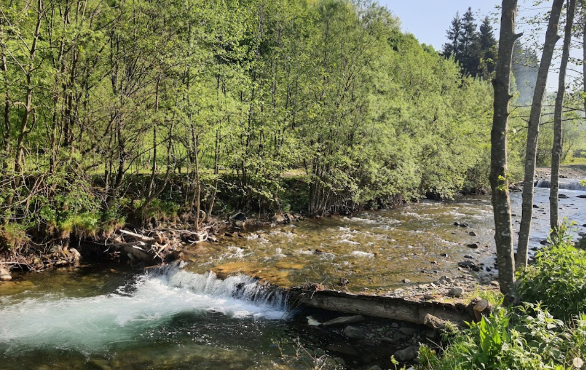 Trout Fishing in Kolochava