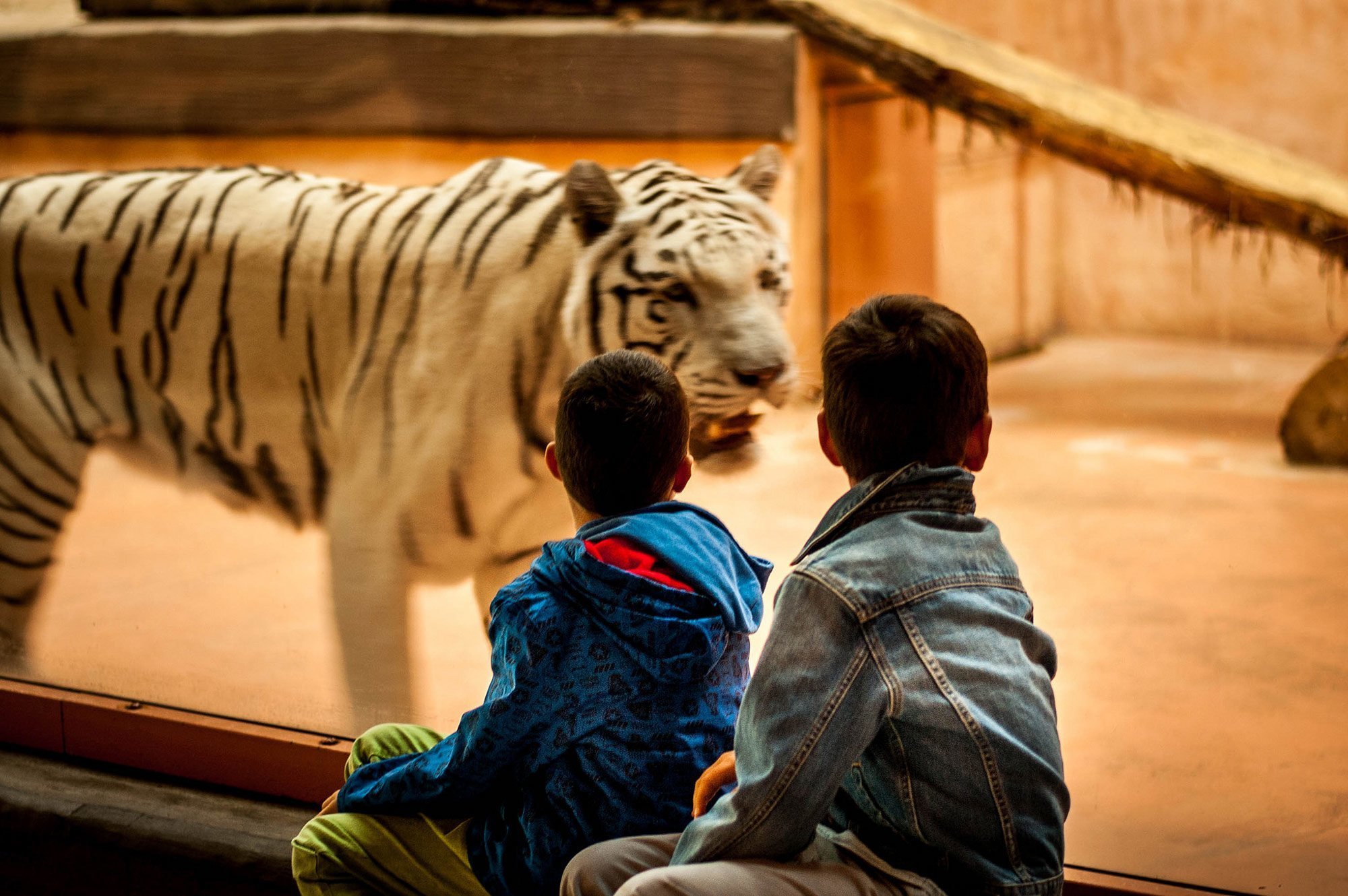 Зоопарк "XII місяців"