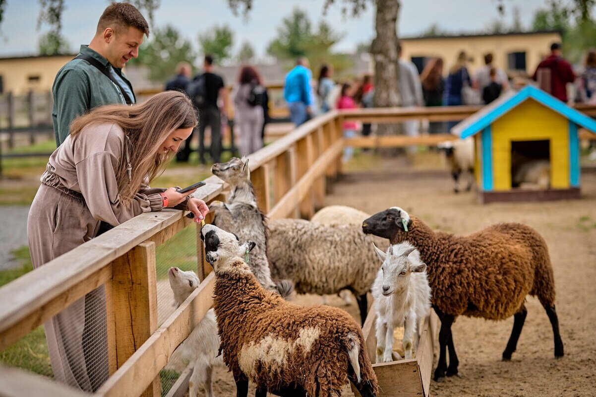 Yasnogorodskaya Ostrich Farm