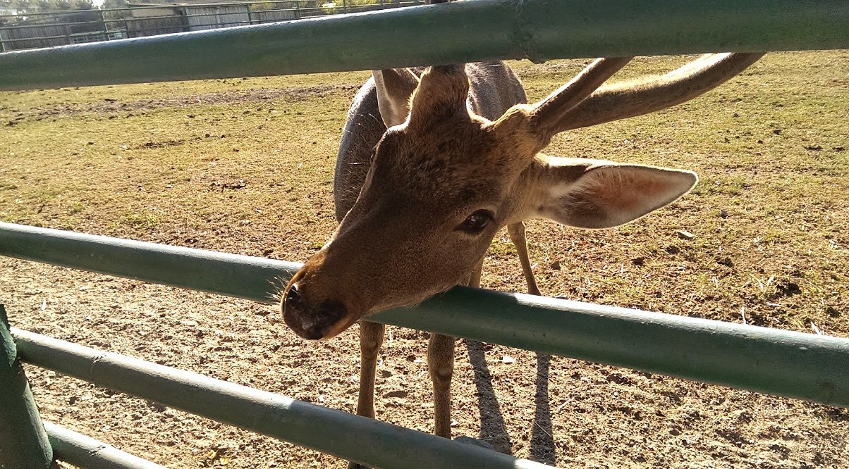 Подільський зоопарк