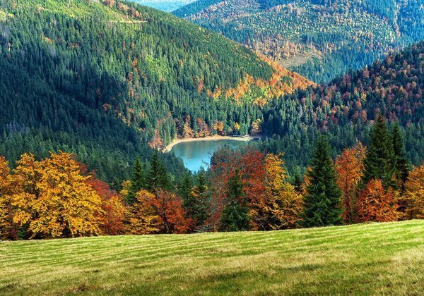 Закарпатська область