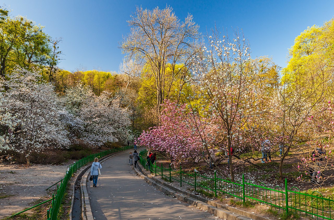 Ботанічний сад імені академіка Олександра Фоміна