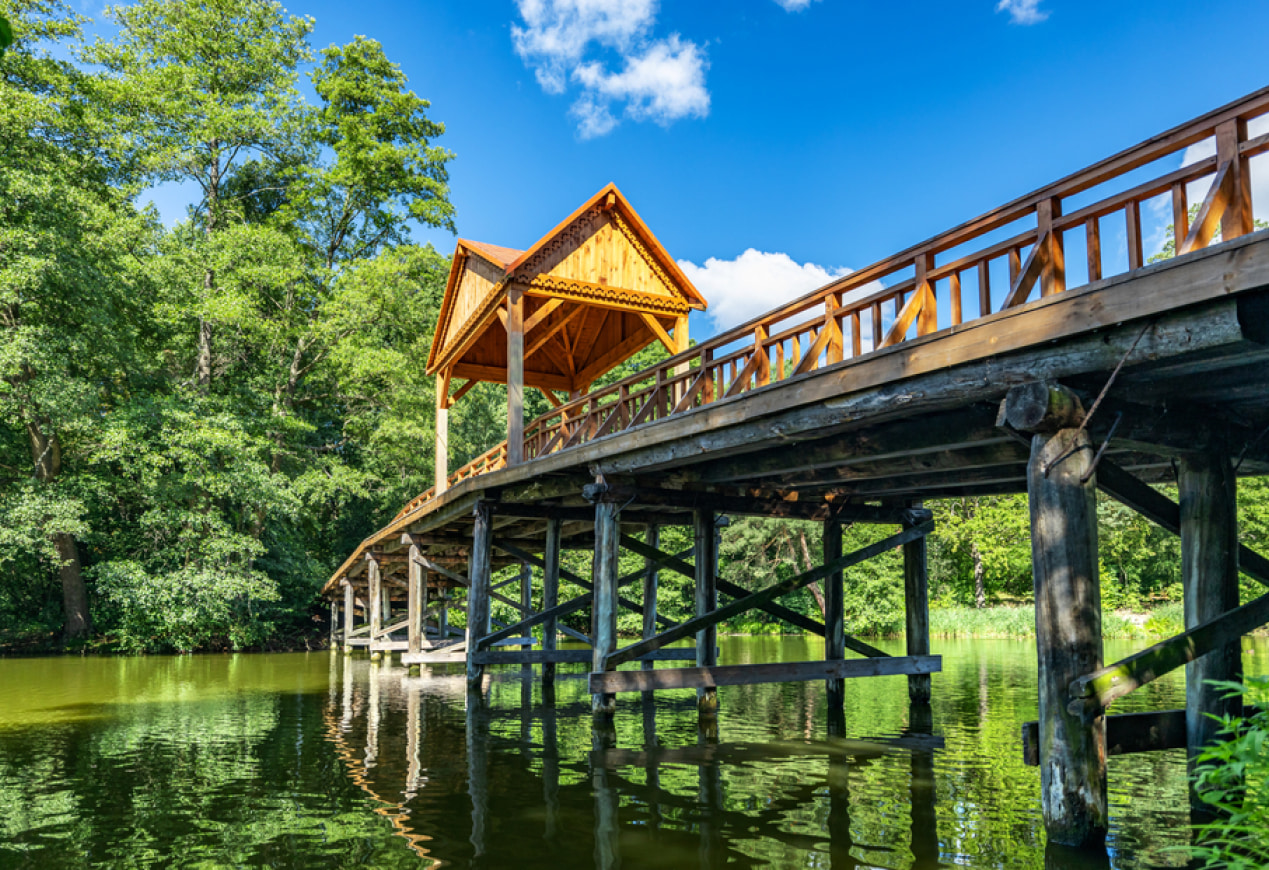 Парк «Пуща-Водиця»