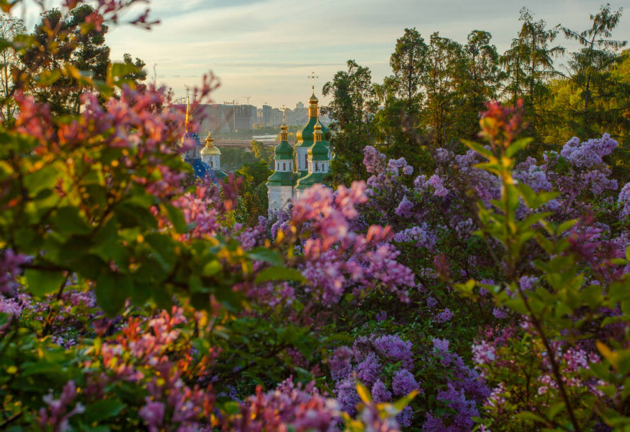 Національний ботанічний сад імені М. М. Гришка НАН України