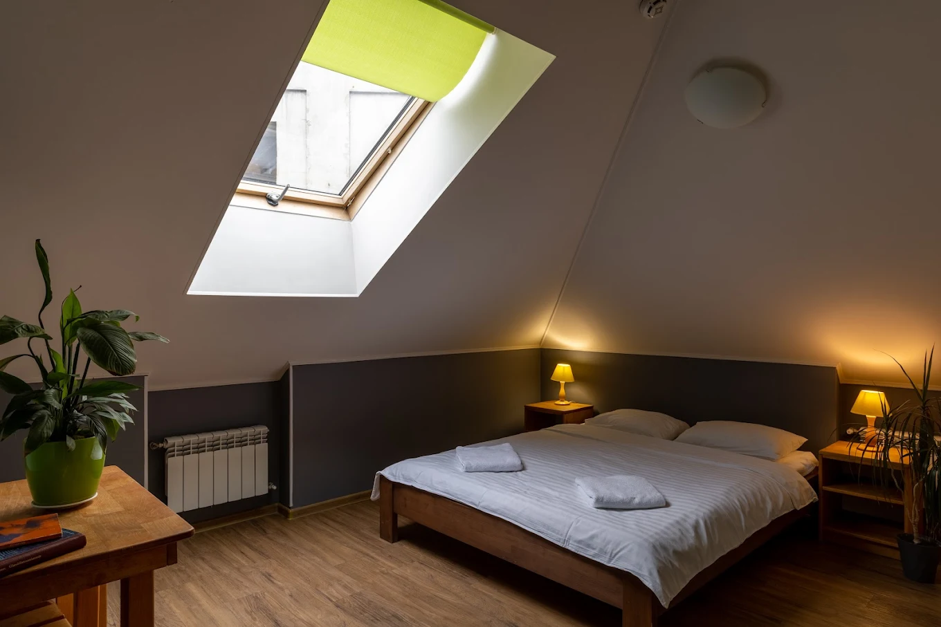 «DREAM Hostel Kyiv»