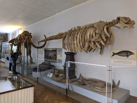 Палеонтологічний музей імені Олексія Топачевського