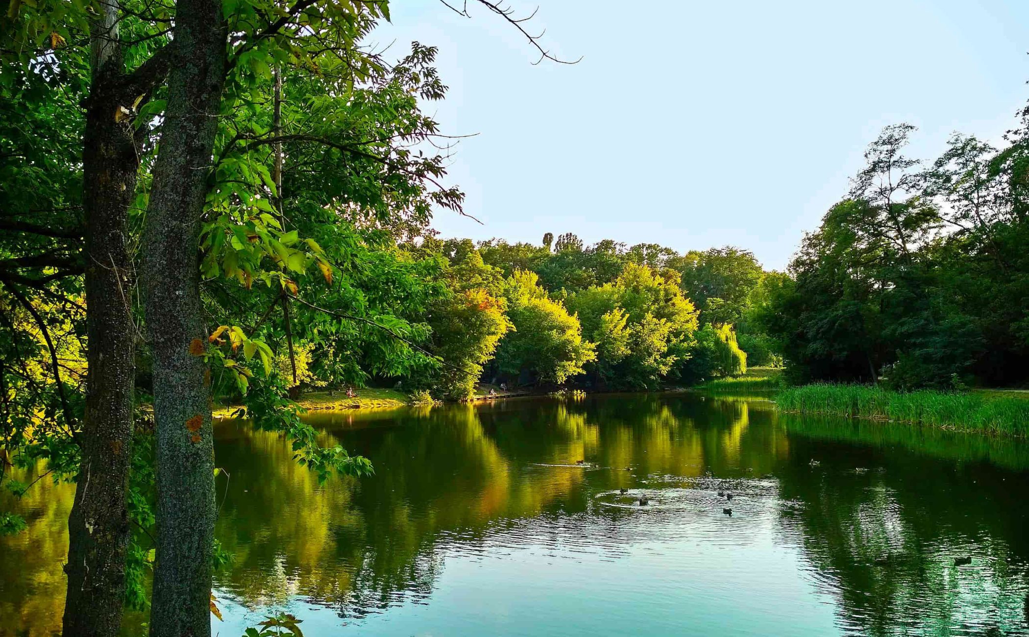 Парк «Нивки»