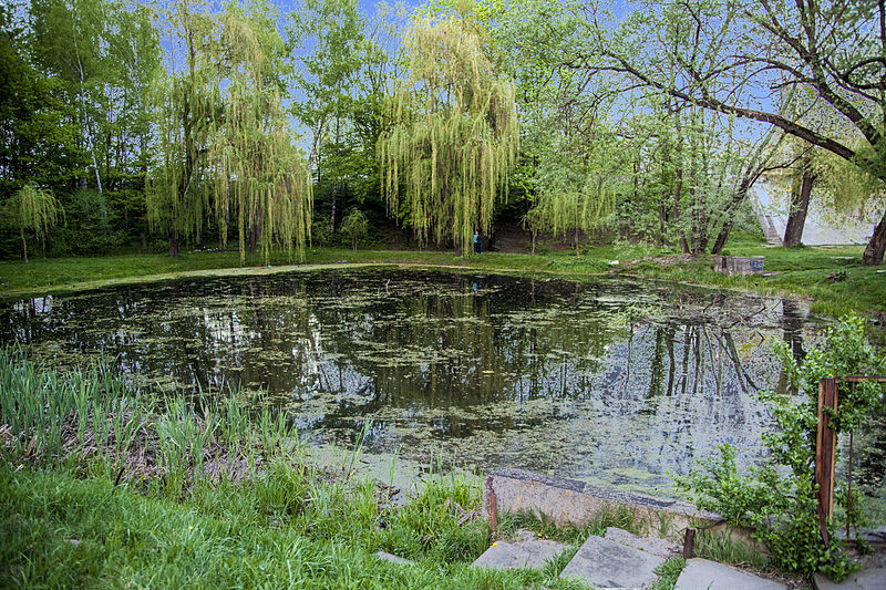 Парк «Сирецький гай»