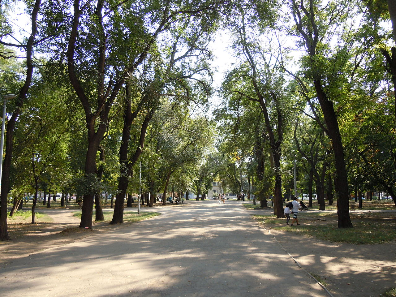 Парк на Старосінній Площі