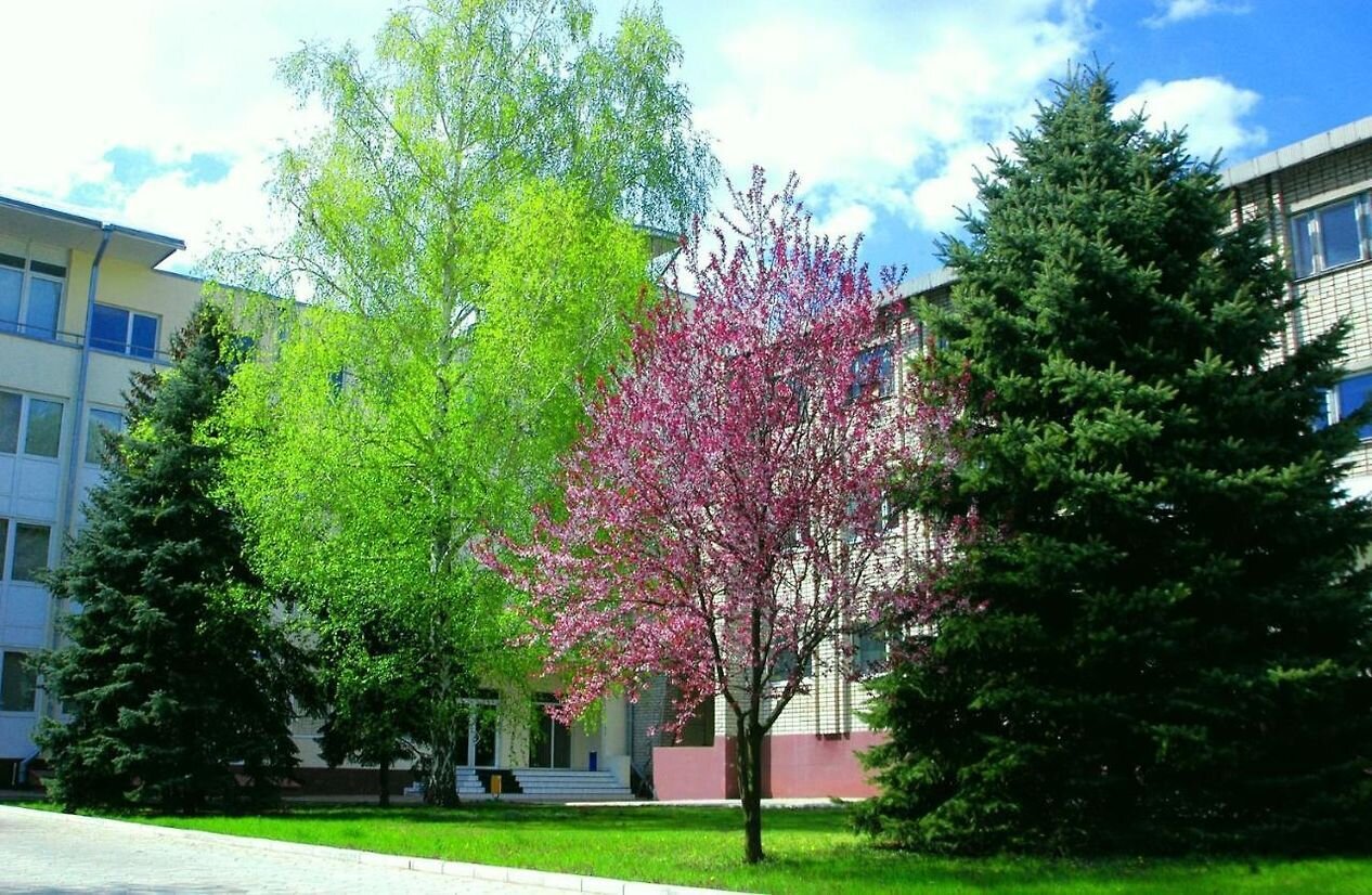 Готель «Джаз»