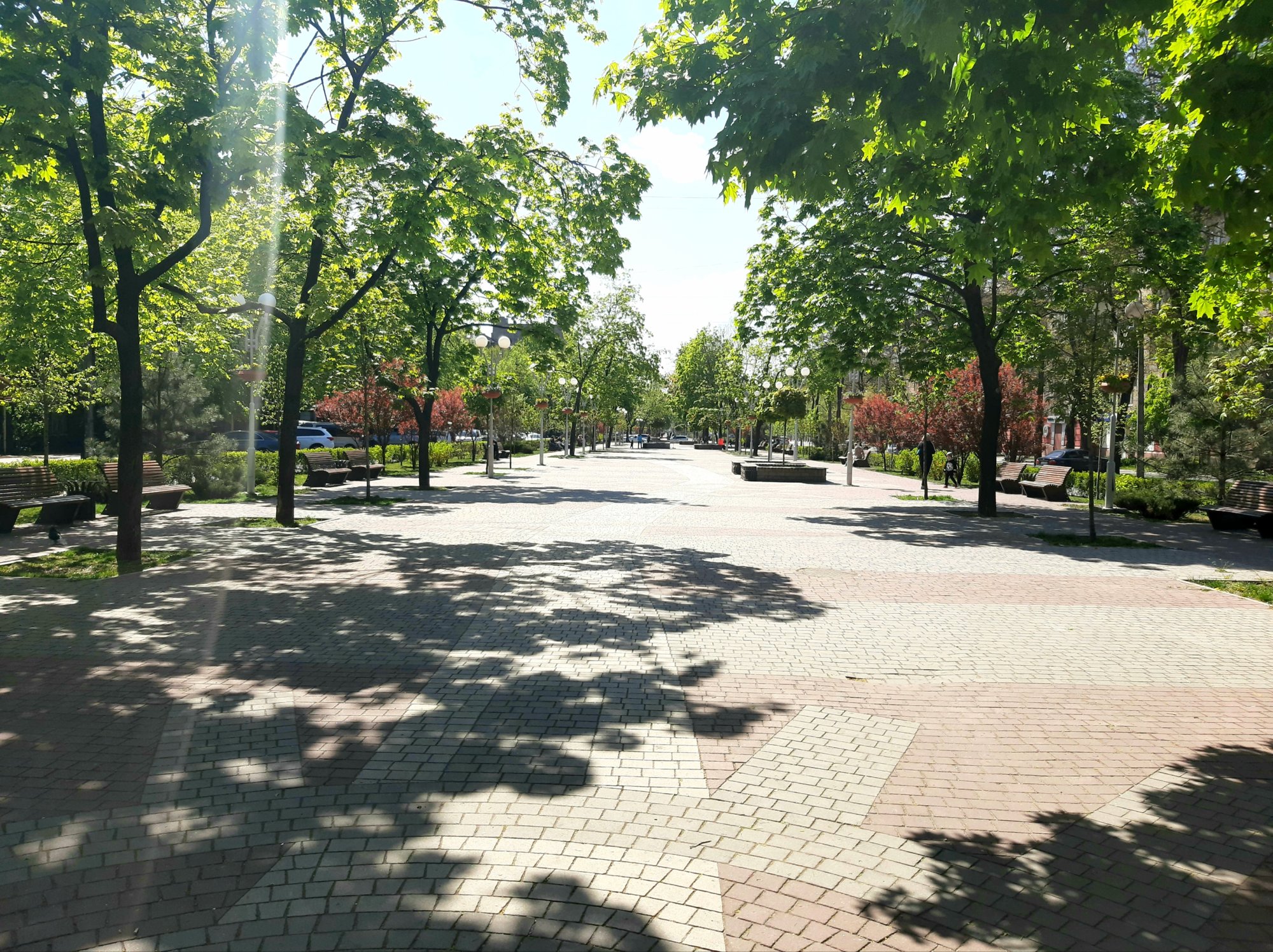 Бульвар Марії Примаченко