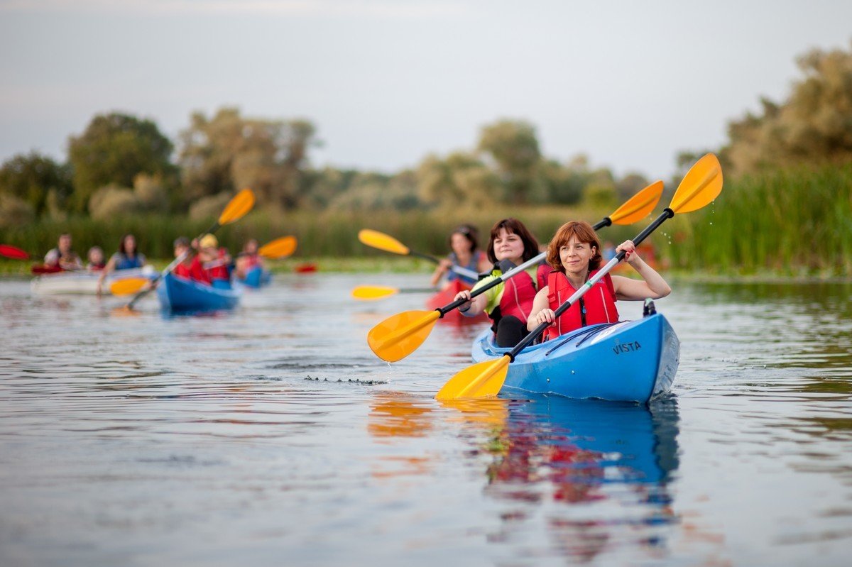 Плавневі лабіринти