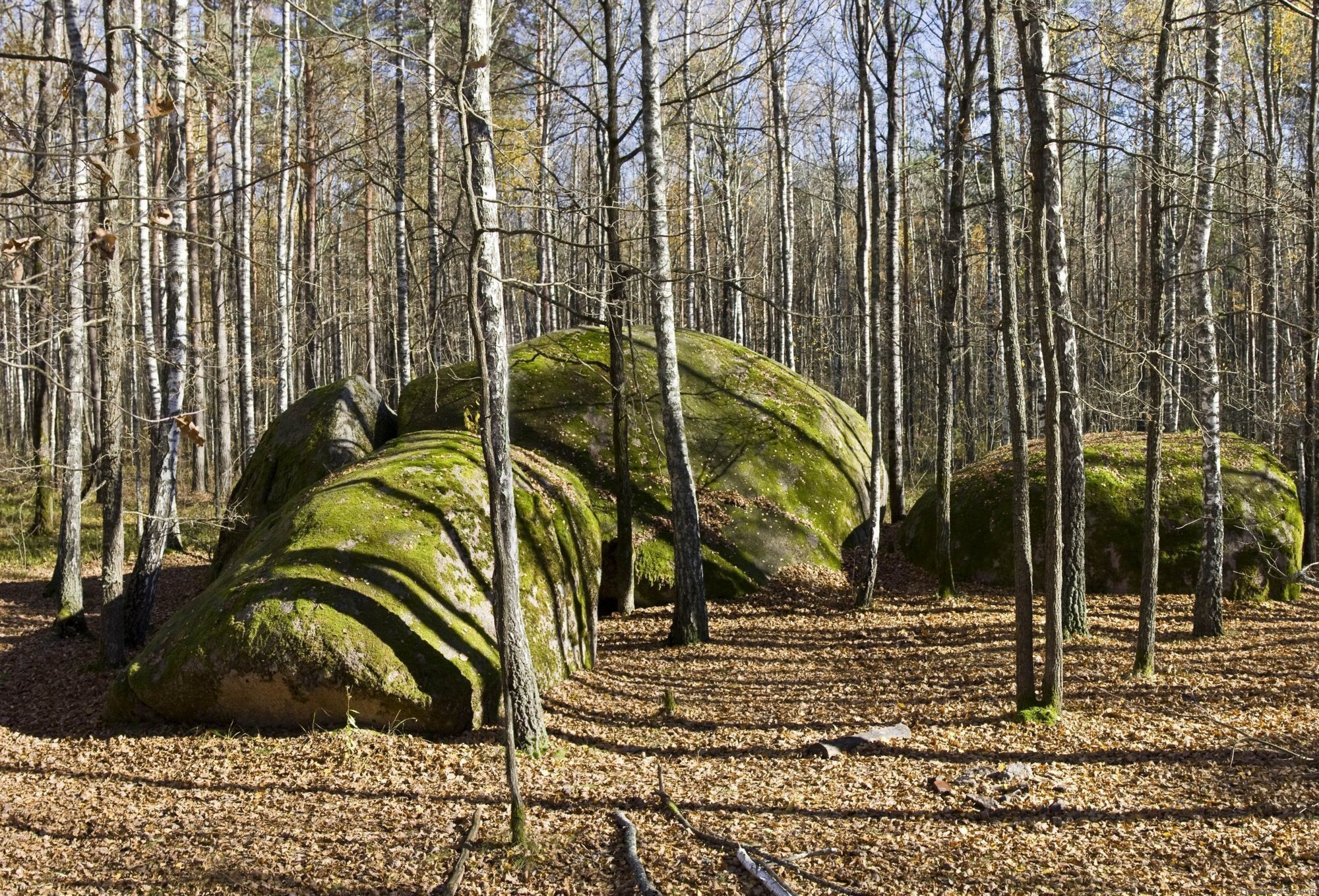 Подорож Житомирщиною