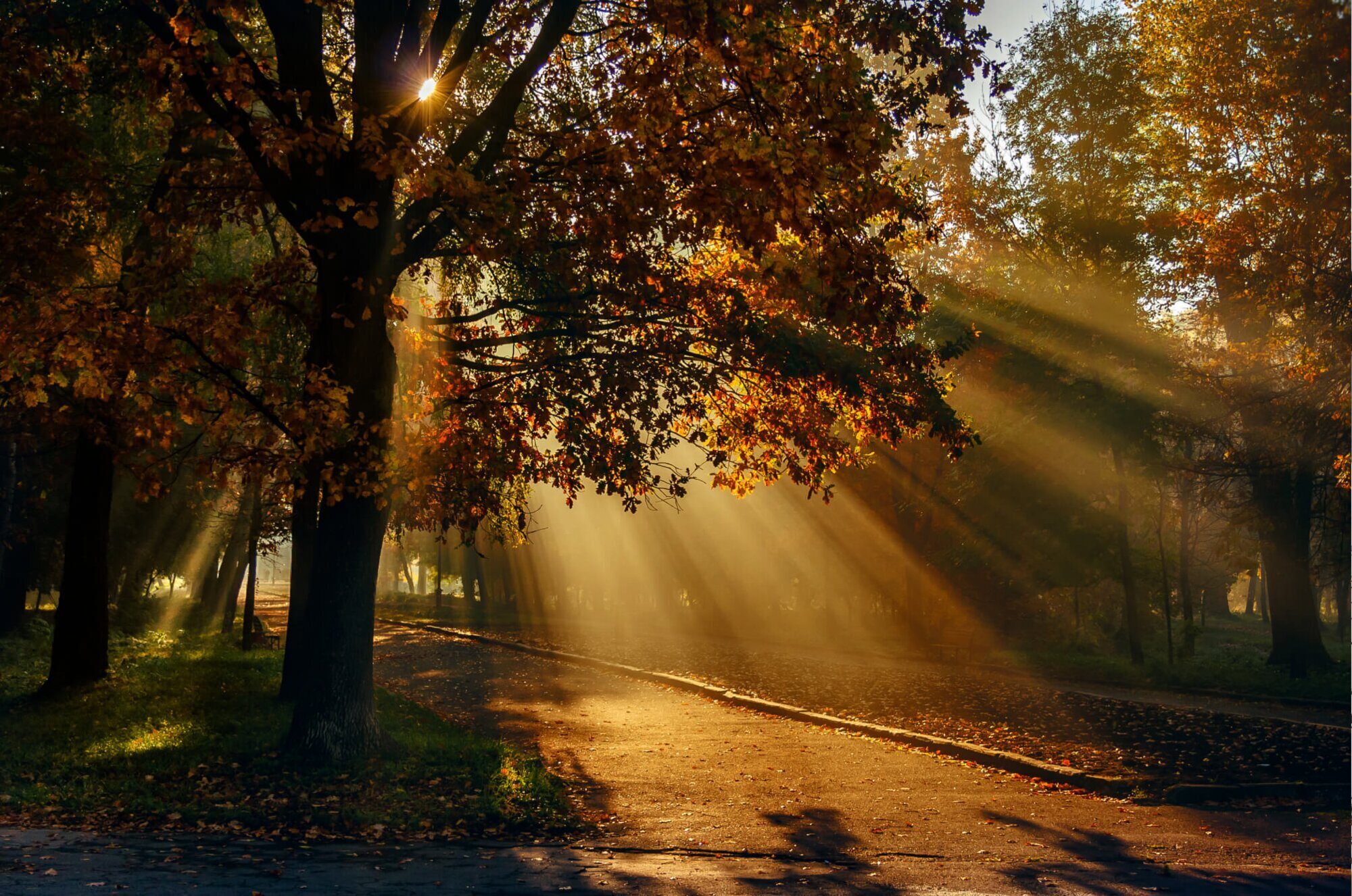 Weekend in Kamianets-Podilskyi and Chernivtsi, 3d/2n