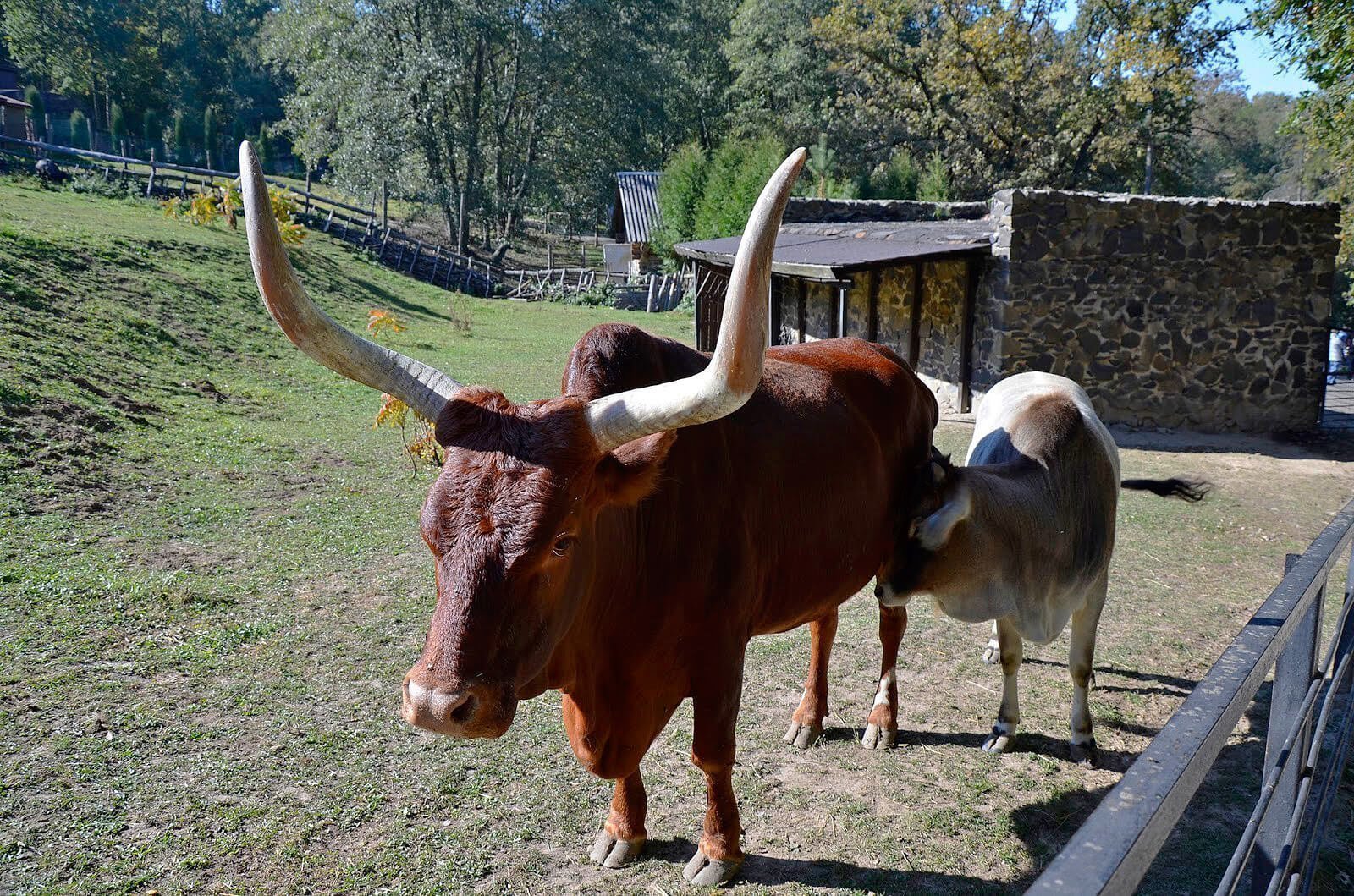 Подорож Рівненщиною