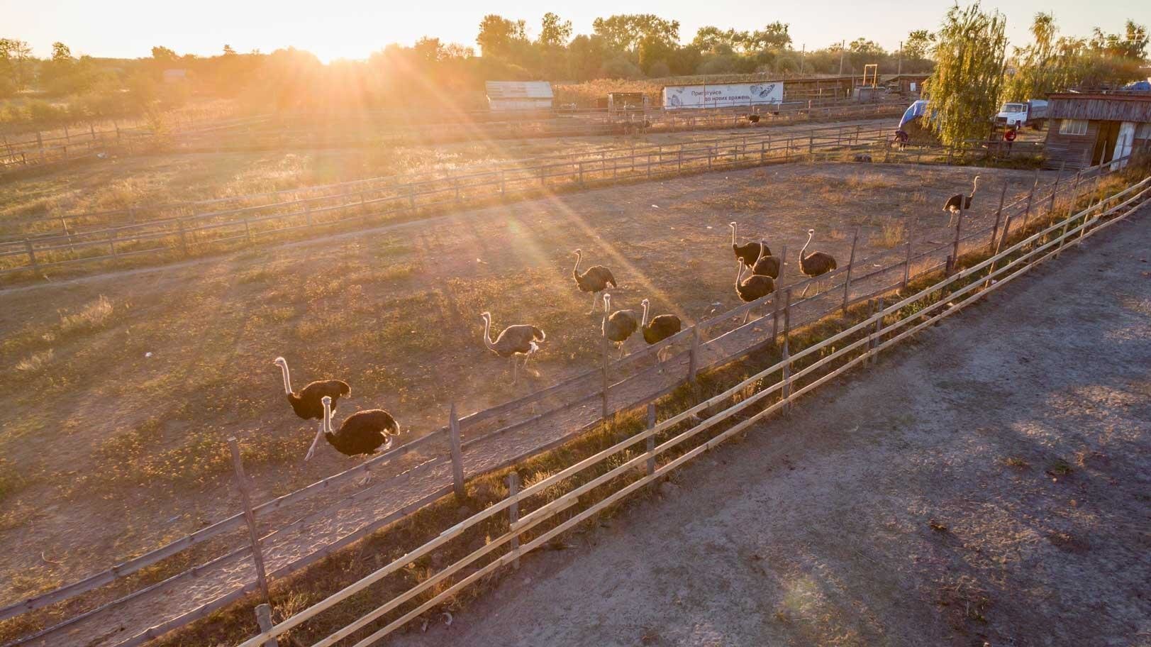 «Дороги вина та смаку Київщини»: Ясногородський напрямок