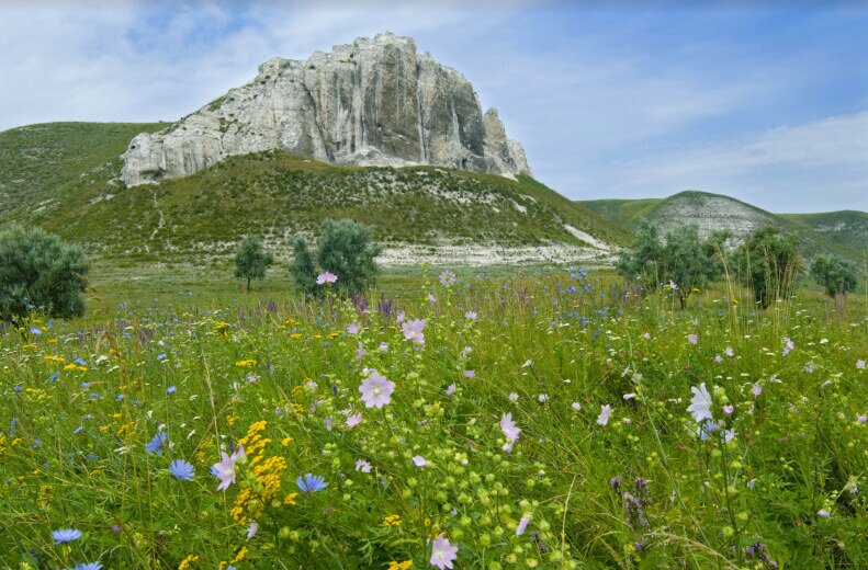 Steppes of Donbas, 3d/2n