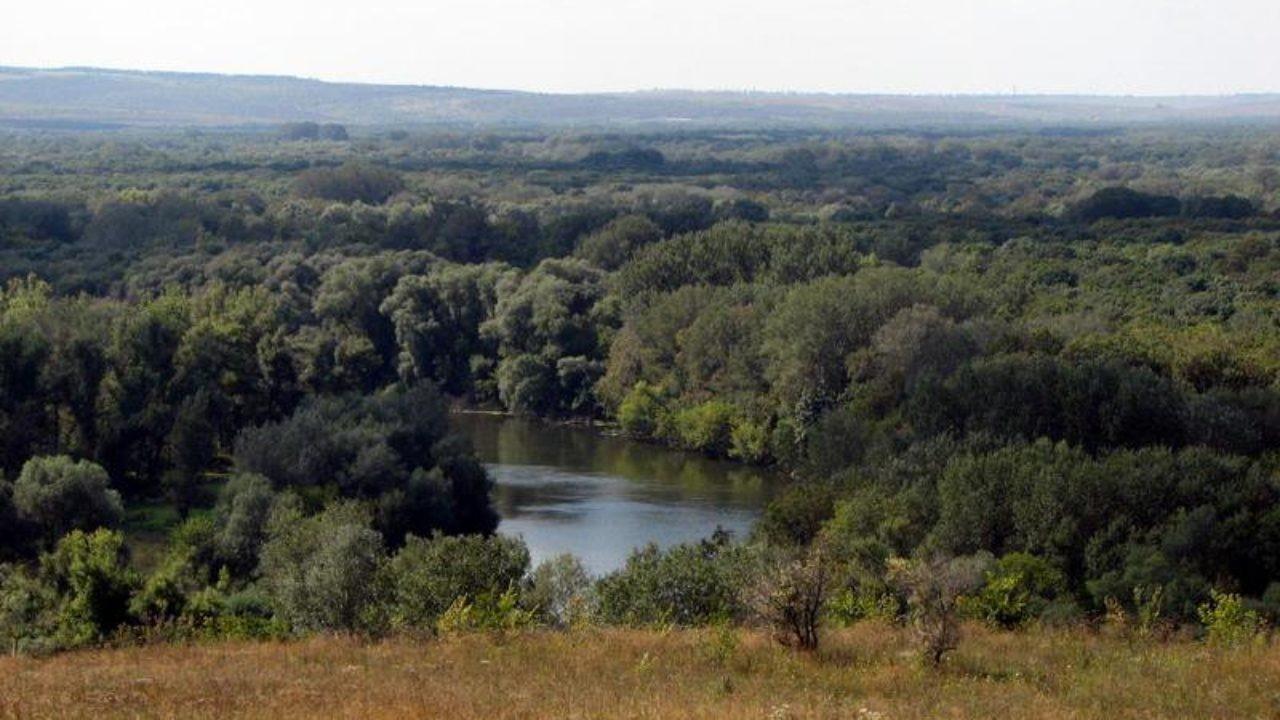 Луганська область (тимчасово окуповані території ).