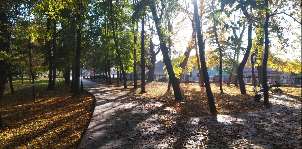 Гощанський парк