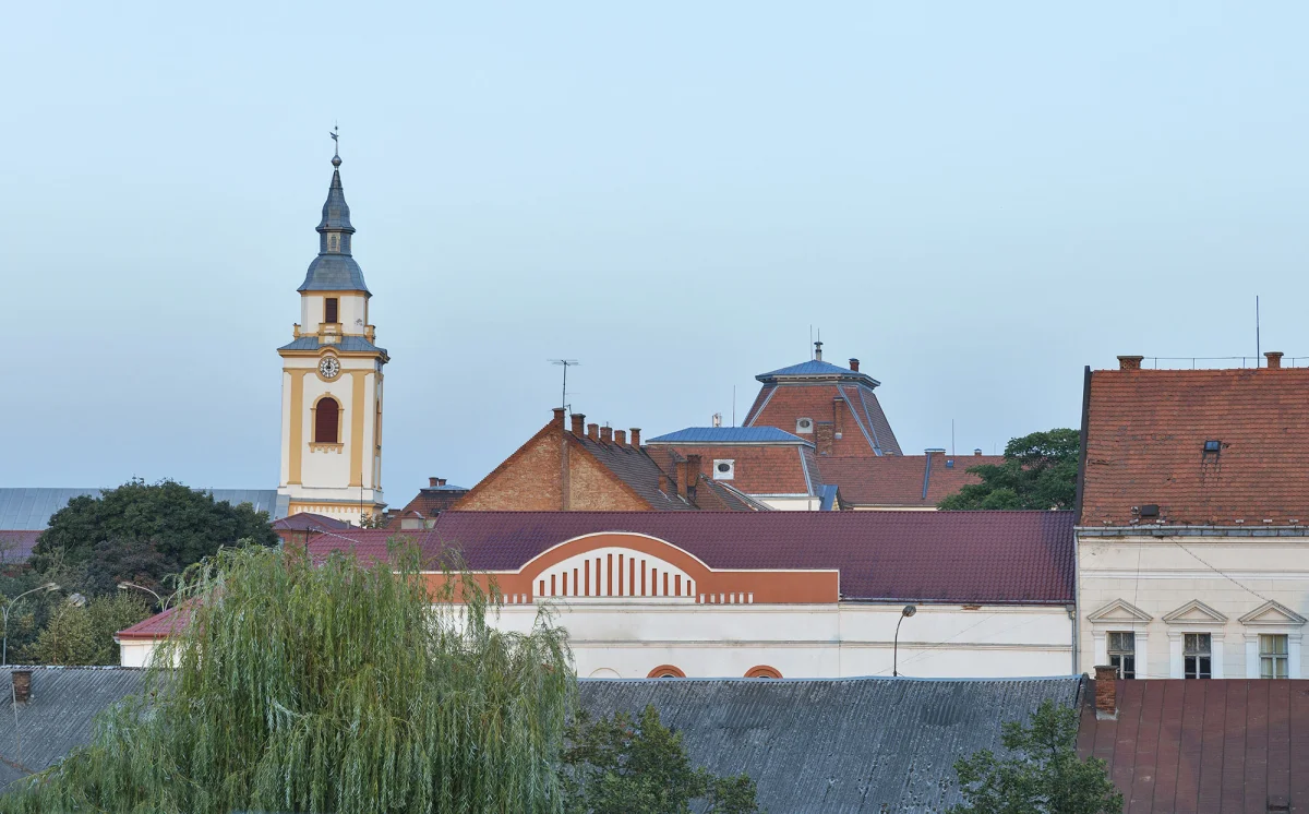 Берегове